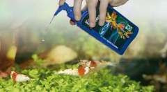 Nástroje pre akvárium. Chémia starostlivosti, vitamíny, klimatizácia