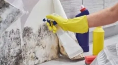 Nástroje na odstránenie foriem (fungus formy)