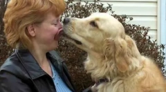 Top 10 najviac odvážnych zvierat