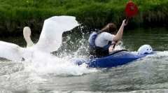 Top 10: šokované nebezpečné zvieratá