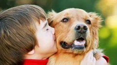 Top 10 vecí, ktoré nenávidia psov