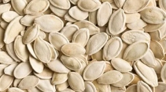 Top 10 zvierat, ktoré sa bojí ženy