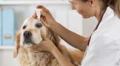 Starostlivosť o oči