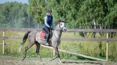 Lekcia jazdy na koni pre začiatočníkov