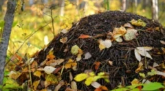 Zariadenie a poľnohospodárstvo