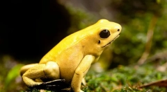 Hrozný voľný čas