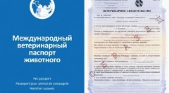 Na ceste so psom: najlepšie plemená na cestovanie