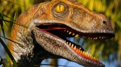 Velociraptor