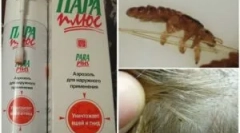 Typy a aplikácia fondy steam plus z vši