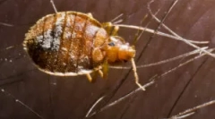 Poškodenie a nebezpečenstvo vychádzajúce z chýb