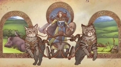 Všetko o európskom krátkodobom mačke