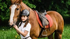 Výber stajní, trénera a koní