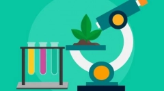 Úlohy a metódy biológie