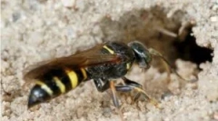 Nebezpečenstvo zeme oss a okolie