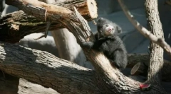 Zvieratá planéty vo fotografiách (24 ks)