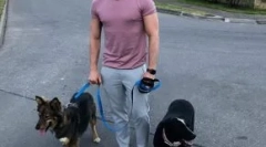 Hviezdy ukazujú podnikanie, ktoré pomáhajú zvieratám bez domova